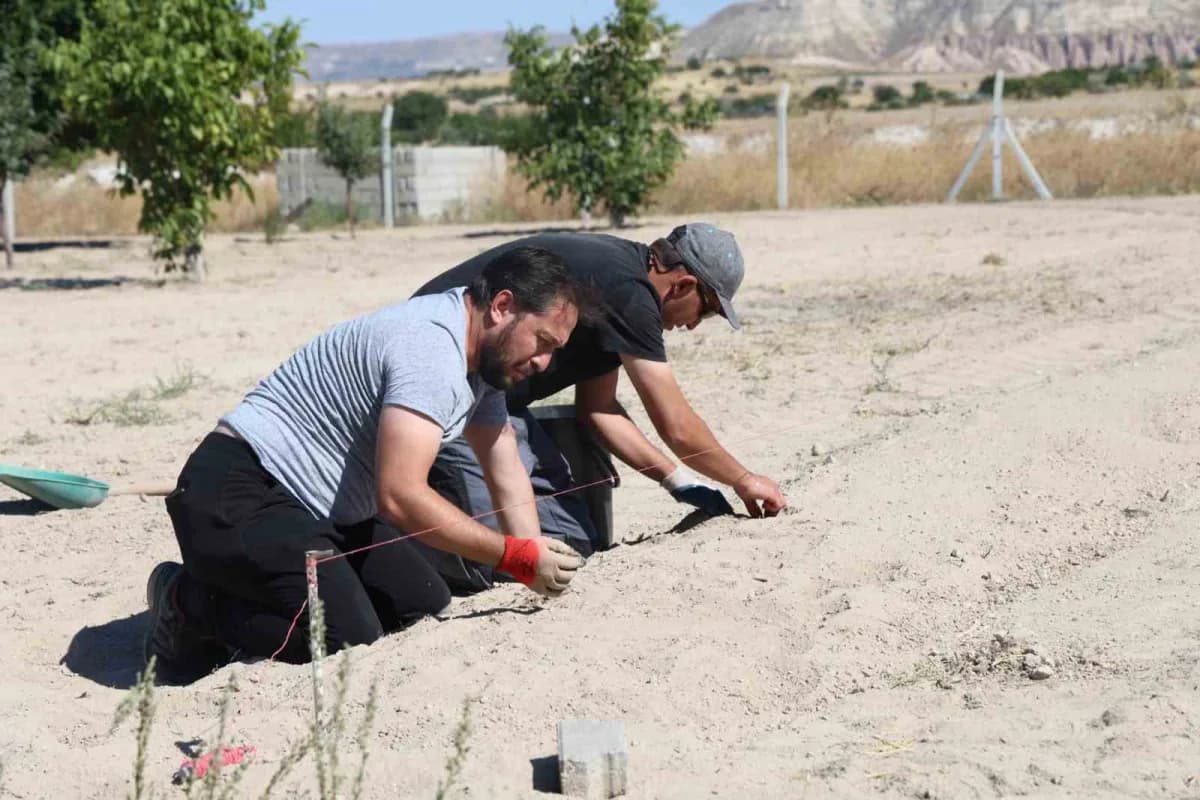Kapadokya bölgesinde tarımsal üretimin çeşitlendirilmesi ve tarım turizminin geliştirilmesi amacıyla tıbbi aromatik bitk