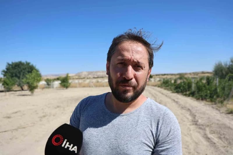 Turizmci Güray Tosun, Göreme'de yaklaşık 2,5 dönümlük alanda başlayan safran üretiminin ilerleyen dönemde daha geniş ala