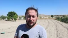 Kapadokya Göreme’de safran dikimi yapılan tarladan görüntü