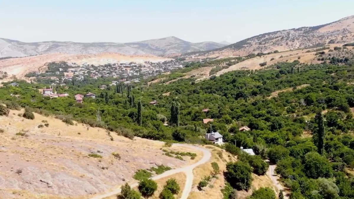 Su tarlaya ulaştı, Emirler’de kiraz üretimi arttı