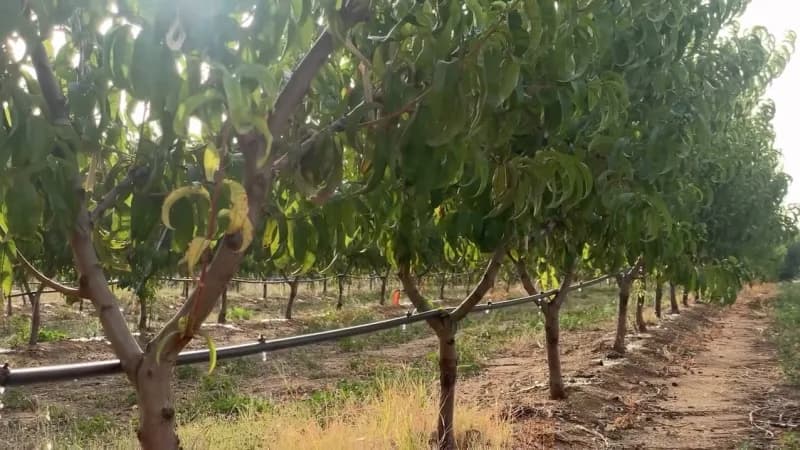 Niğde'nin Ulukışla ilçesine bağlı Emirler köyünde hayata geçirilen kapalı sistem Sulama tesisleri, tarımsal üretimde ver