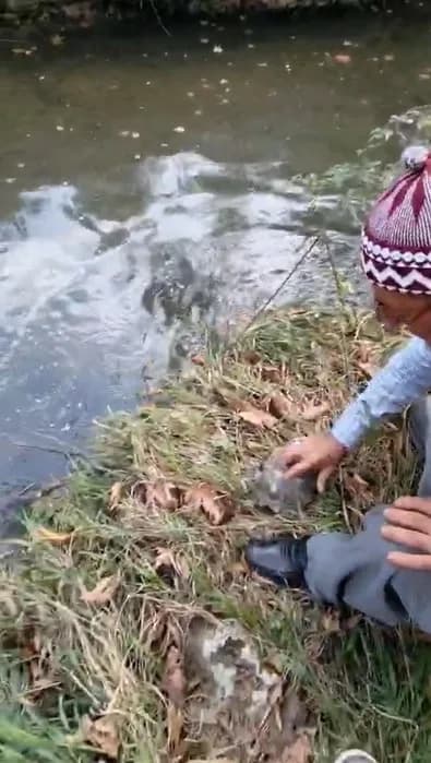Antalya’nın Aksu ilçesine bağlı Topallı Mahallesi’ndeki Gelin Düşen Deresi’nde mahsur kalan kaplumbağa, vatandaş tarafın