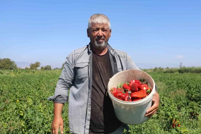 Çifçti Ahmet Aksoy