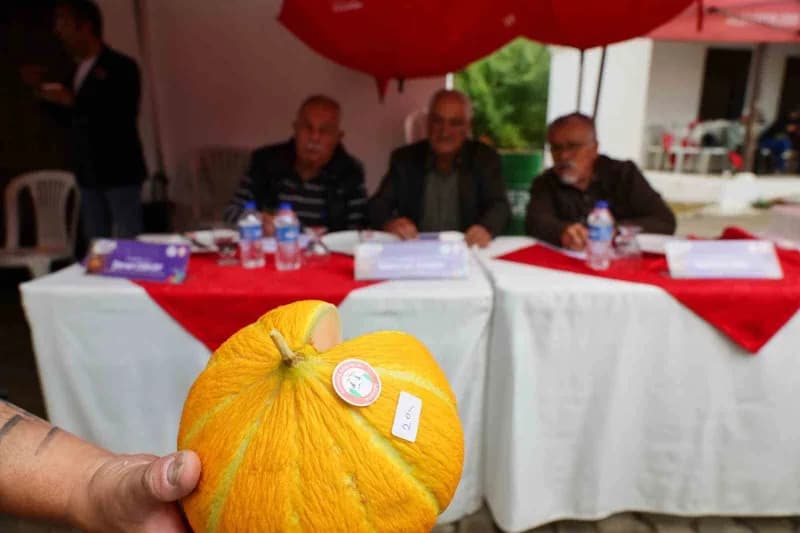 Karabağlar Yaylası’nın yüzyıllardır süregelen üretim kültürü ve gelenekleri, 33. Uluslararası Muğla Kültür ve Sanat Şenl