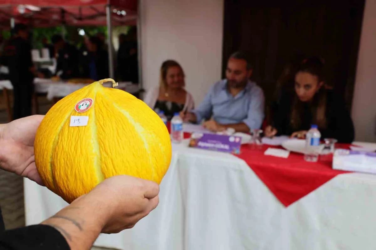 Karabağlar Yaylası’nın yüzyıllardır süregelen üretim kültürü ve gelenekleri, 33. Uluslararası Muğla Kültür ve Sanat Şenl