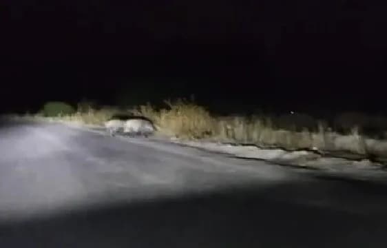 Karabük'te gece saatlerinde mahalleye inen kalabalık yaban domuzu sürüsü, sürücülere şaşkınlık yaşattı. Renkli anlar cep