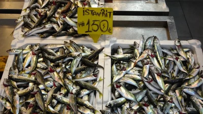 İstavritte kota uygulamasının 40 bin ton olduğu kaydedildi.