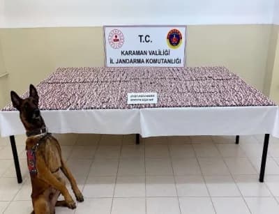 Karaman’da jandarma ekiplerinin uyuşturucu operasyonunda ele geçirilen sentetik ecza haplar ve esrar paketleri