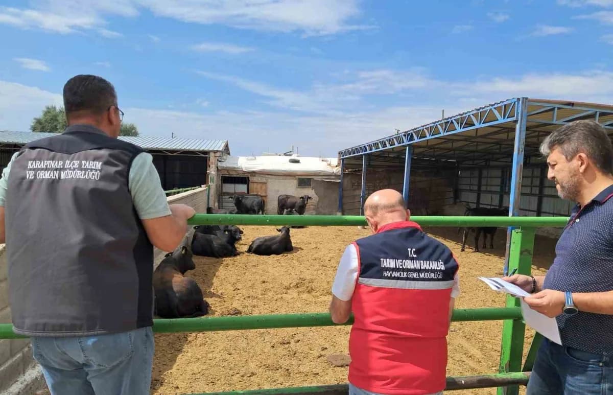 Konya’nın Karapınar ilçesinde, hayvan sağlığının korunması ve hayvansal üretimde verimliliğin artırılması amacıyla denet