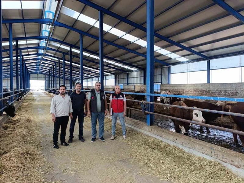 Konya Karapınar’da ithal besilik sığırların sağlık ve mevzuat denetimi yapan ekipler