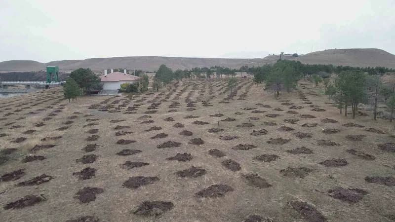 Kars’ta “Yeşil Vatan” için kurumlar güçlerini birleştirdi(Kars-iha)