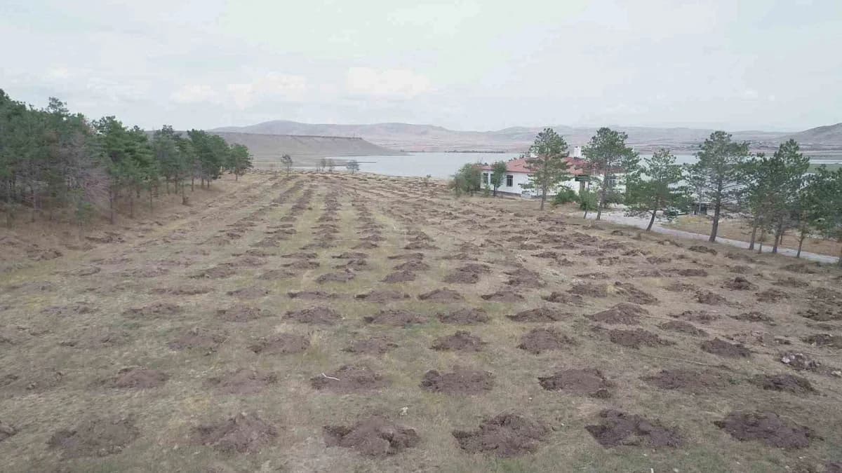 Kars’ta “Yeşil Vatan” için kurumlar güçlerini birleştirdi(Kars-iha)