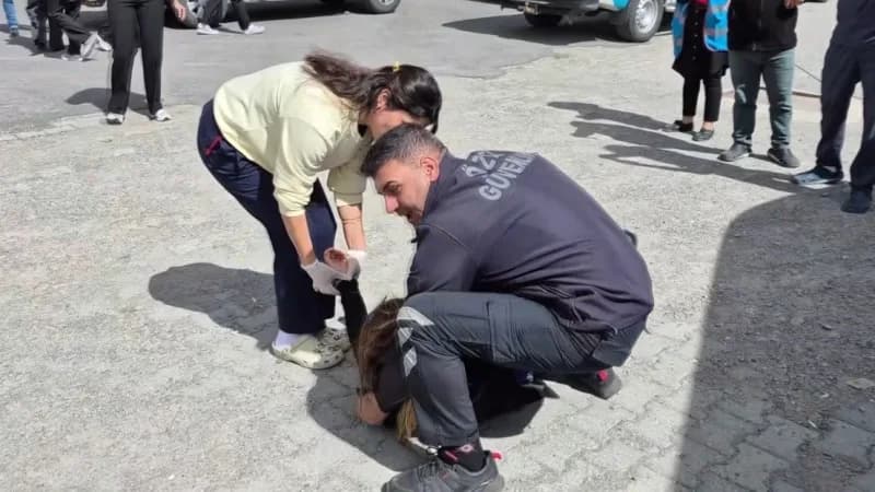 Kars’ta 6.5’lik deprem senaryosu! Türkiye’nin deprem gerçeği sahada canlandırıldı