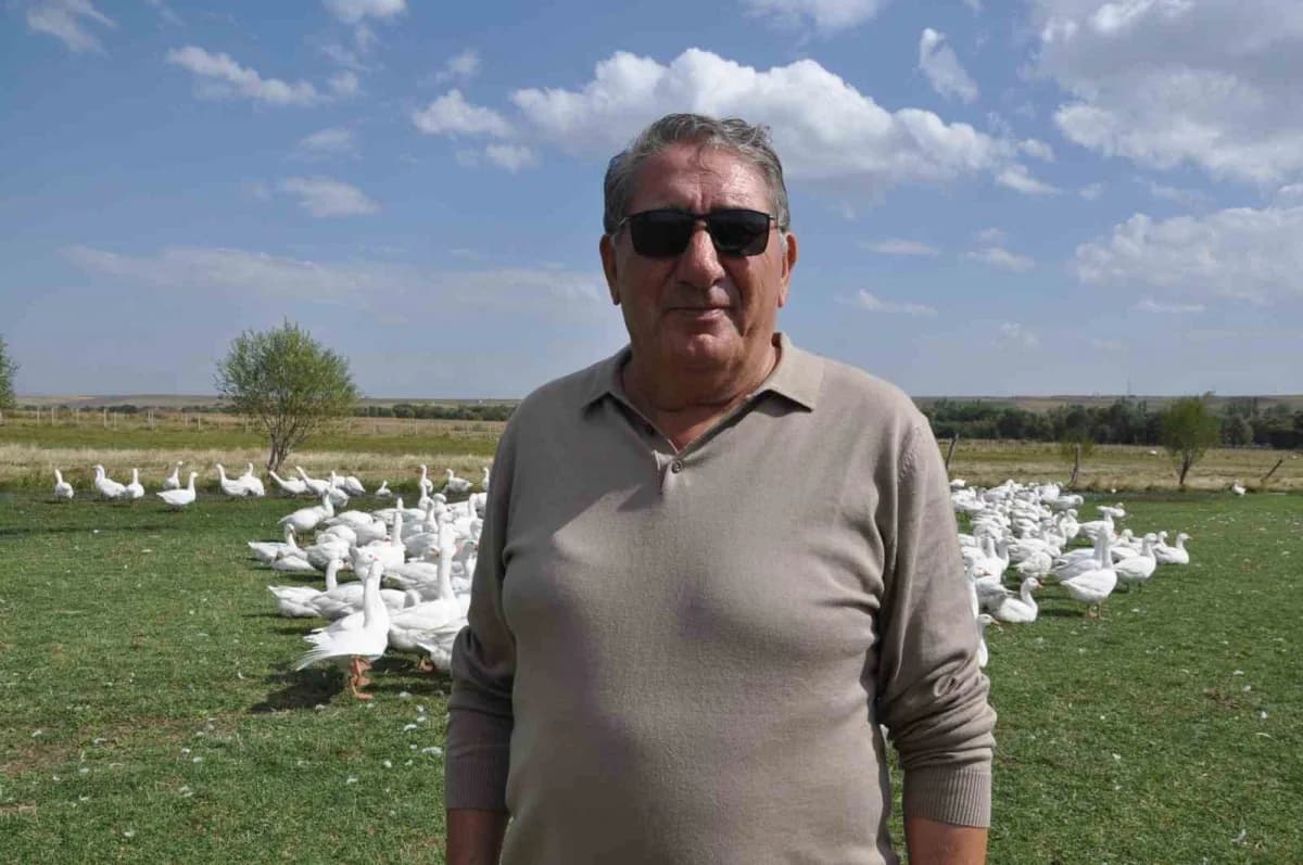 Susuz ilçesinde bir dönem belediye başkanlığı yapan Ali Yeğin ise başkanlığın ardından kurduğu çiftlikte 6 yıldır kaz ye
