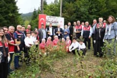 Kastamonu Şenpazar ilçesinde aronya bahçesinde meyve hasadı yapan üreticiler