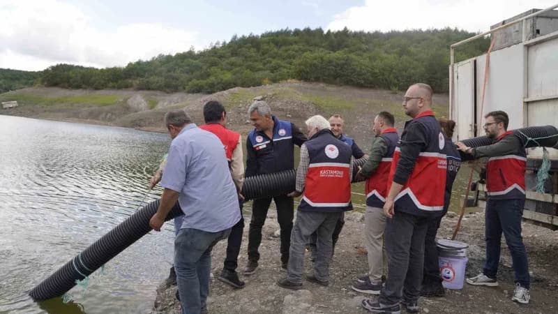 Kastamonu'da İl Tarım ve Orman Müdürlüğü ekipleri tarafından İl genelindeki gölet ve akarsulara 800 bin adet sazan balığ