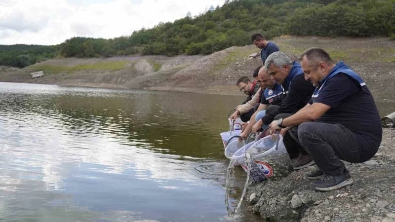Kastamonu'da İl Tarım ve Orman Müdürlüğü ekipleri tarafından İl genelindeki gölet ve akarsulara 800 bin adet sazan balığ