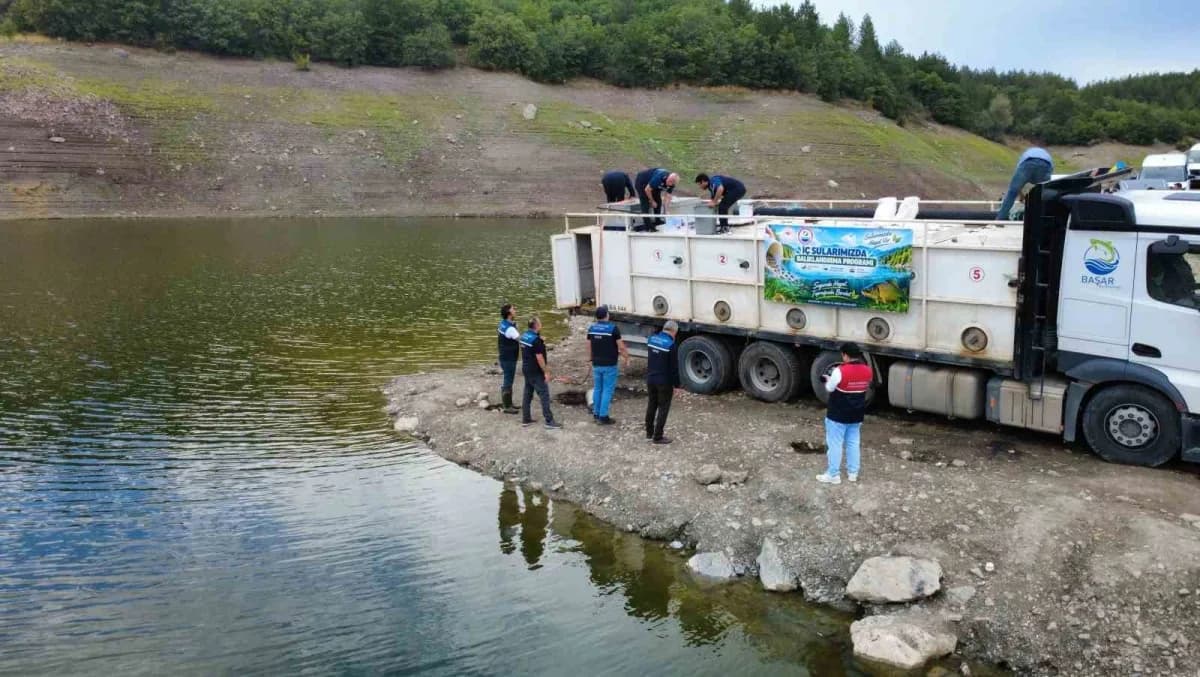 Kastamonu'da İl Tarım ve Orman Müdürlüğü ekipleri tarafından İl genelindeki gölet ve akarsulara 800 bin adet sazan balığ