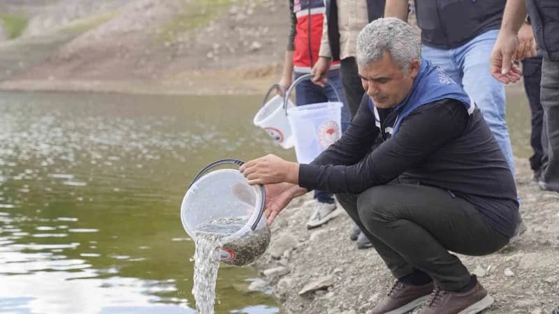 Kastamonu'da İl Tarım ve Orman Müdürlüğü ekipleri tarafından İl genelindeki gölet ve akarsulara 800 bin adet sazan balığ
