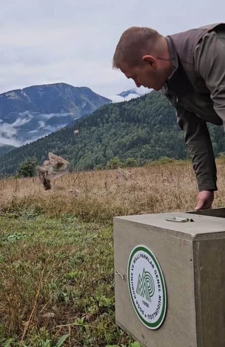 Kastamonu’nun İnebolu ilçesinde elektronik cihazlarla kaçak bıldırcın avlayan 3 kişiye toplamda 622 bin 791 TL cezai işl