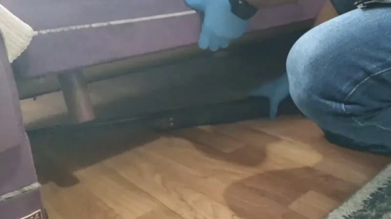 Kastamonu İl Emniyet Müdürlüğü ekiplerince 9 adres ve 1 araca yönelik gerçekleştirilen operasyonda 13 şüpheli yakalandı.