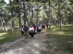 Kastamonu Üniversitesi öğrencileri Şehit Şerife Bacı Tabiat Parkı’nda doğa yürüyüşü yaparken doğal güzellikleri keşfediy
