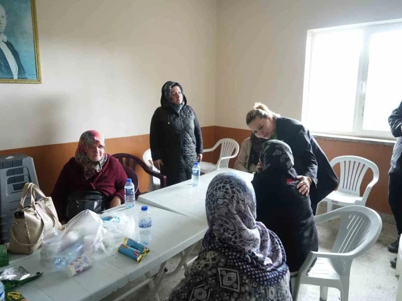 Kastamonu Milletvekili Fatma Serap Ekemekci, İnebolu ilçesinde 11 evin yandığı köyü ziyaret etti