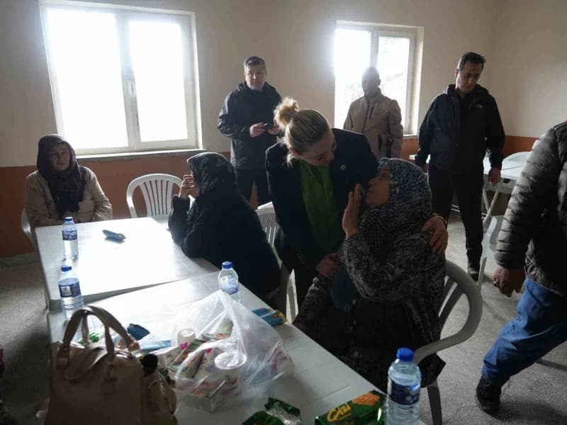 Kastamonu Milletvekili Fatma Serap Ekemekci, İnebolu ilçesinde 11 evin yandığı köyü ziyaret etti