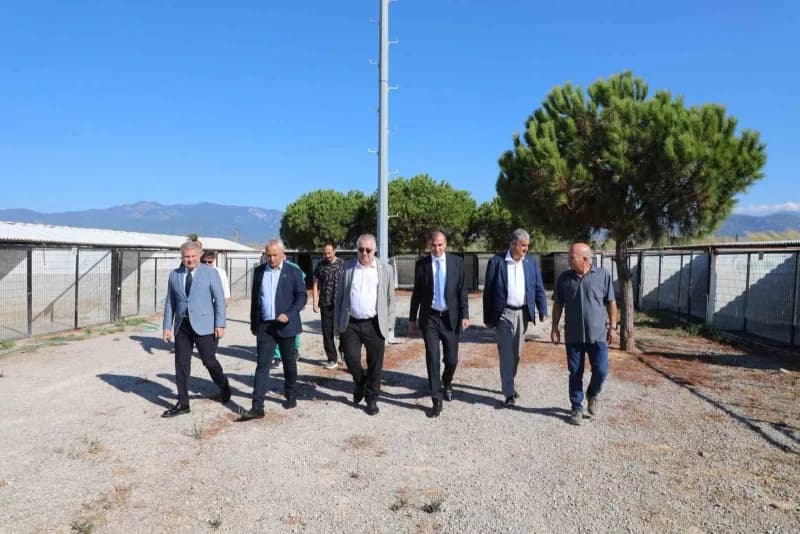 Edremit Kaymakamı Zafer Engin, Çıkrıkçı Sokak Hayvanları Bakım ve Rehabilitasyon Merkezi’nde incelemelerde bulundu.