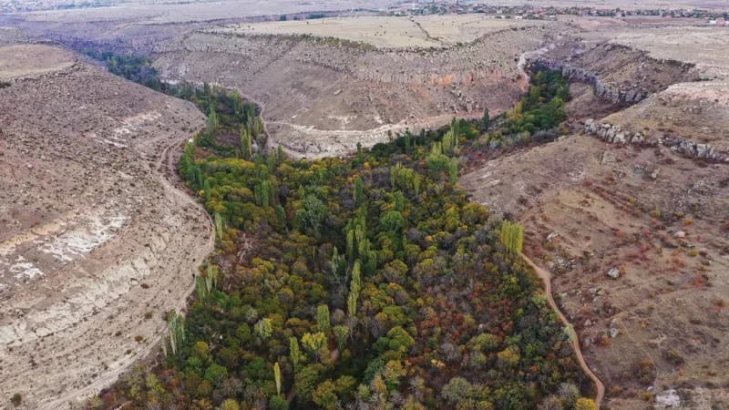 Kayseri Büyükşehir Belediye Başkanı Dr. Memduh Büyükkılıç, 27 Eylül Dünya Turizm Günü dolayısıyla yayımladığı mesajında,