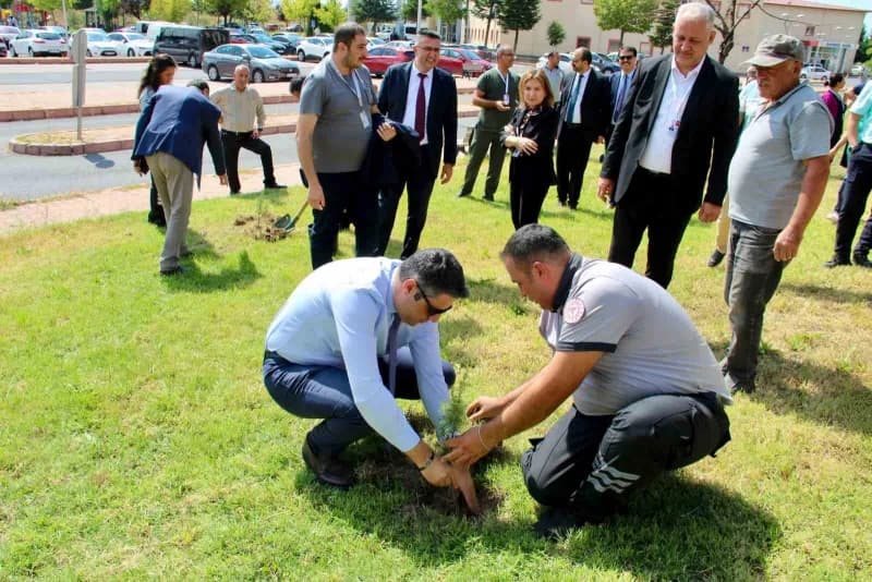 Kayseri Devlet Hastanesine bağlı Erkilet Emel-mehmet Tarman Kadın Doğum ve Çocuk Hastalıkları Kliniği'nde, daha yeşil ve
