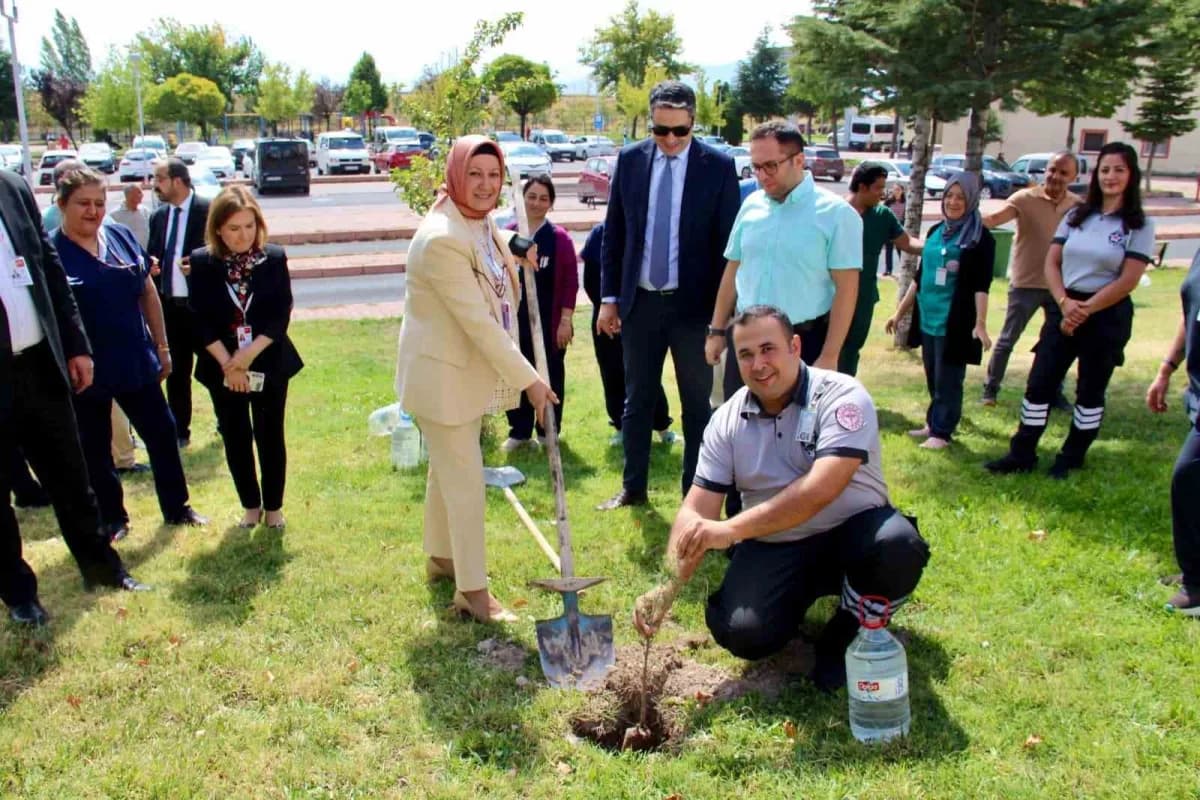 Kayseri Devlet Hastanesine bağlı Erkilet Emel-mehmet Tarman Kadın Doğum ve Çocuk Hastalıkları Kliniği'nde, daha yeşil ve