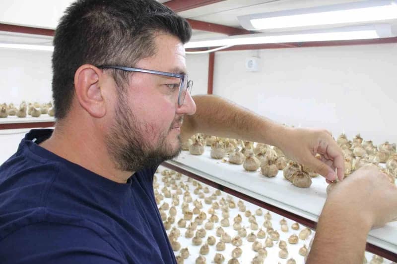 Kayserili girişimci Mustafa Demir, kilogram fiyatı 900 bin TL’ye, gram fiyatı ise 900 TL’ye ulaşan safranı Kayseri’de il
