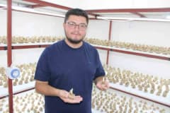 Kayseri’de kapalı alanda safran üretimi yapan Mustafa Demir ve safran bitkileri