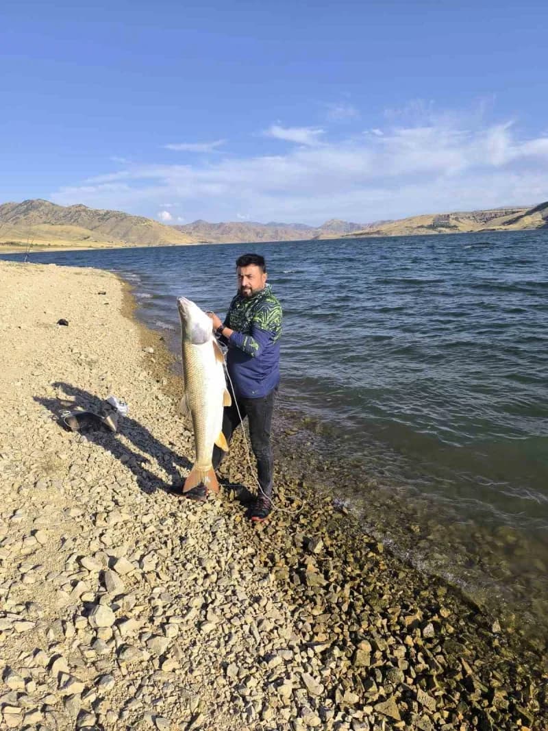 Keban Baraj Gölü’nde 30 kiloluk dev turna