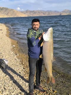Elazığ Keban Baraj Gölü’nde yakalanan yaklaşık 30 kilogram ağırlığında dev turna balığı
