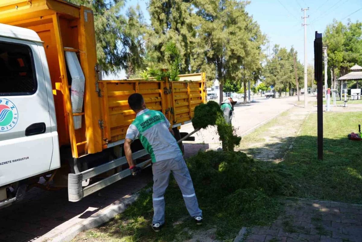 Park ve Bahçeler Müdürlüğü ekipleri; çim biçme, ağaç budama ve düzenli sulama çalışmalarını planlı şekilde gerçekleştiri