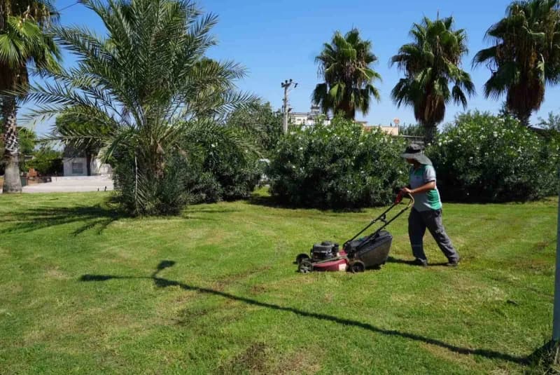 Park ve Bahçeler Müdürlüğü ekipleri; çim biçme, ağaç budama ve düzenli sulama çalışmalarını planlı şekilde gerçekleştiri