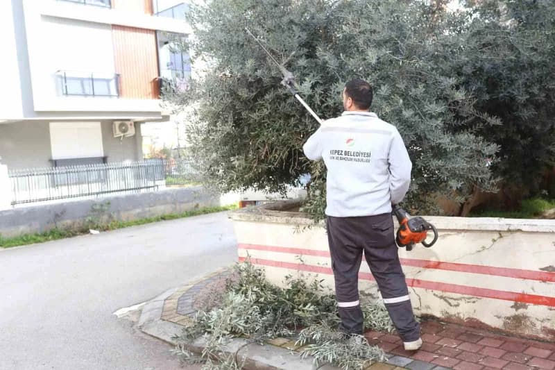 Park ve Bahçeler Müdürlüğü ekipleri; çim biçme, ağaç budama ve düzenli sulama çalışmalarını planlı şekilde gerçekleştiri