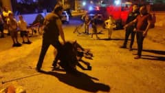 Edirne Keşan’da yerde yatan ata polis ve veteriner ekipleri müdahale ediyor