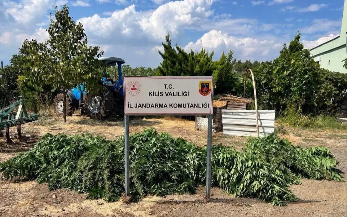 Kilis'te 40 kilo 500 gram kubar esrar ele geçirildi