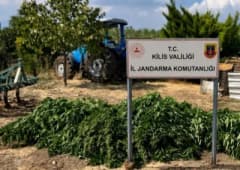 Kilis'te jandarma ekiplerinin kubar esrar ve kenevir bitkisi ele geçirdiği operasyon görüntüsü