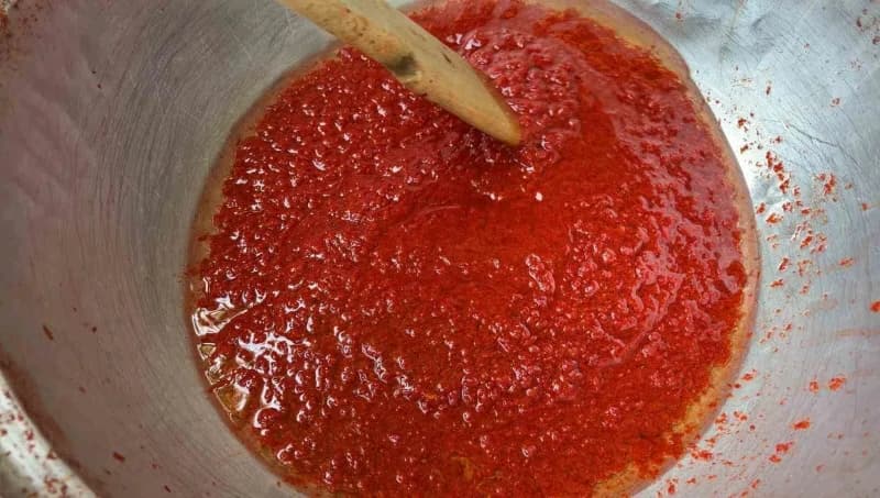 Kırklareli'nde kışlık salça hazırlığı başladı