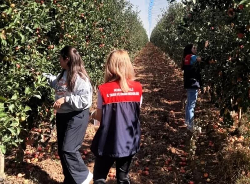 Kırklareli İl Tarım ve Orman Müdürlüğü teknik personelleri, tüketicilere güvenli ve Pestisit kalıntısı bulunmayan Tarım