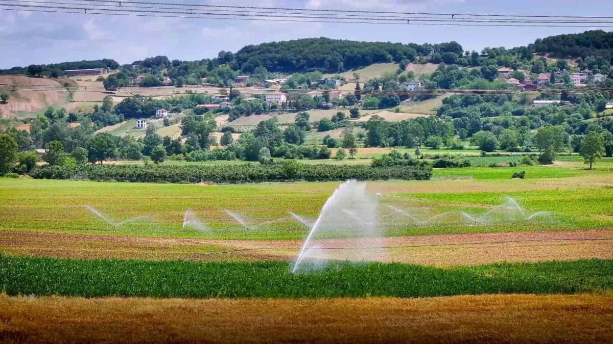 Kocaeli’de tarımsal sulama yatırımları ve yüzde 75 hibeli tohum desteğiyle üreticinin verimi arttı. Sulama imkanına kavu