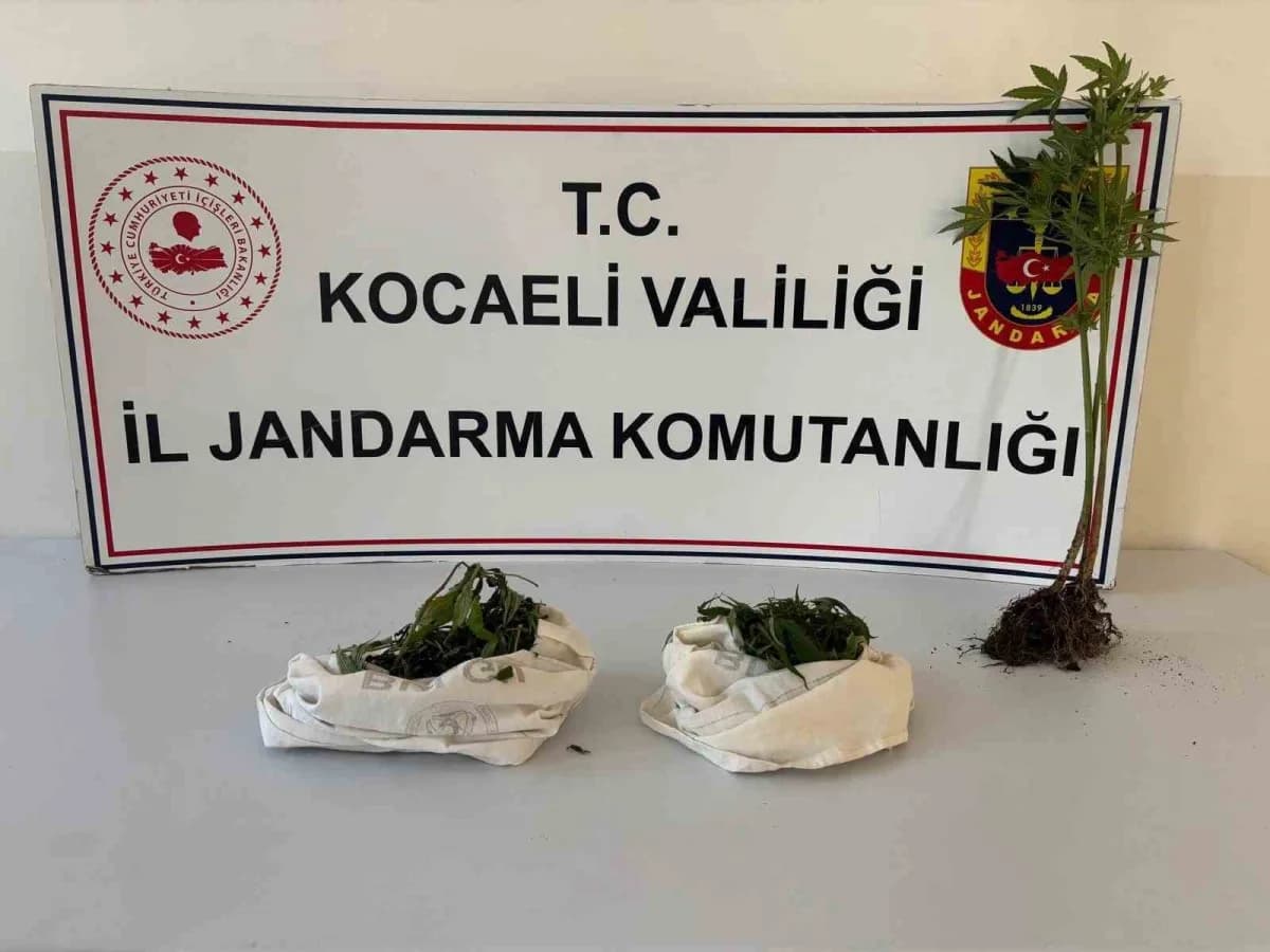 Kocaeli'de düzenlenen uyuşturucu operasyonlarında 1 kilo 37 gram kubar esrar, bin 12 captagon hap, bonzai, metamfetamin,