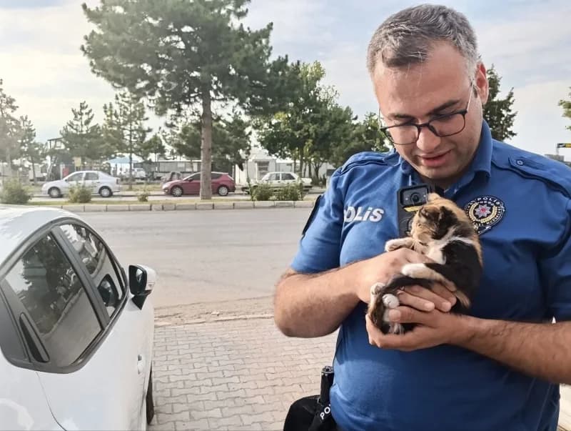 Konya Beyşehir'de otomobil motoruna sıkışan yavru kedi polis ve vatandaşlar tarafından kurtarılıyor