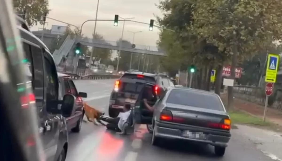 Sakarya'nın Adapazarı ilçesinde zincirini koparan sahipli bir köpeğin saldırısına uğrayan ve saldırıdan sürücülerin korn