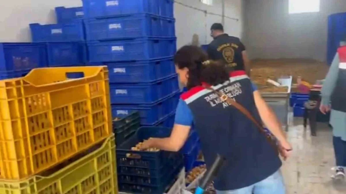 Aydın’ın Köşk ilçesinde Gıda güvenliğine yönelik düzenlenen operasyonda, piyasa değeri yaklaşık 20 milyon TL olan 25 ton