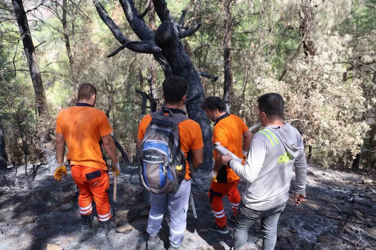 Adana Kozan’da yanan orman alanında ağaçlandırma ve ağaç damgalama çalışmaları yapılıyor